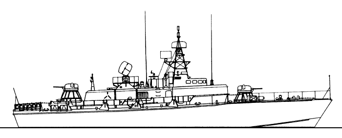 Large torpedo boat - Project 206